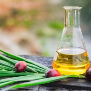 Crude Palm Kernel Oil (cpko)