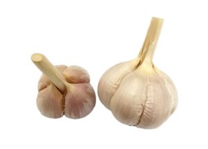 Clove Garlic