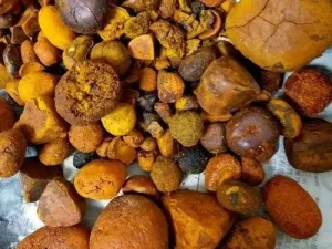 Cow/Ox Gallstones