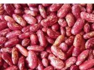Red Spickled Kidney Beans