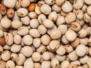 Pigeon Peas