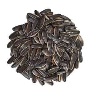 Sunflower Seeds