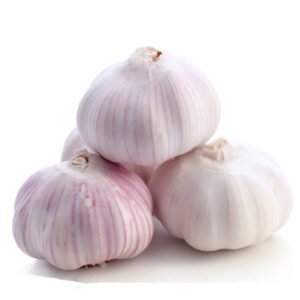 Normal White Garlic
